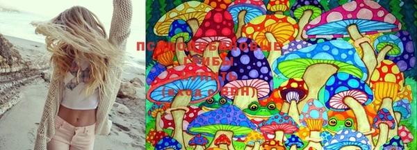 стафф Белоозёрский