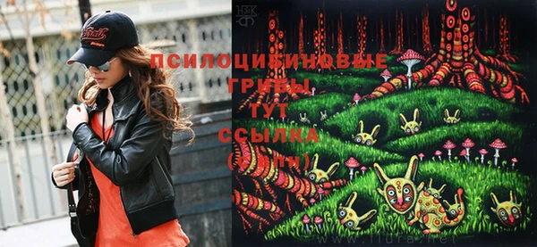 молекула духа Богородск