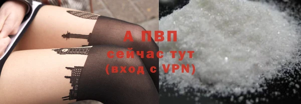 молекула духа Богородск