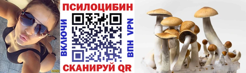 Псилоцибиновые грибы прущие грибы  Городец 